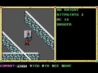 Игра Neverwinter Nights (1991 год) Neverwinter_Nights