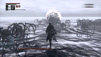 Bloodborne. : ,  