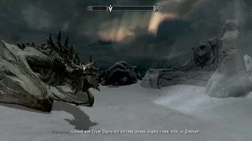 Skyrim.  