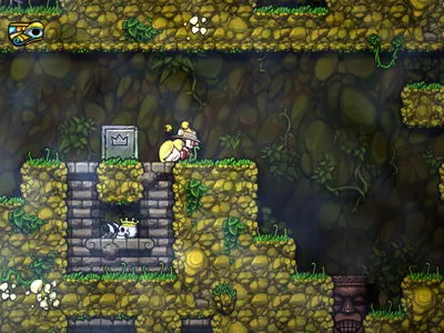 Spelunky.  