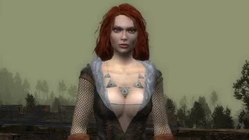 Witcher 1.   . 