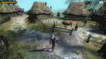 Witcher 1.  4.  