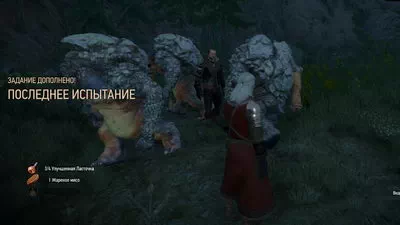 Witcher 3: Wild Hunt.  