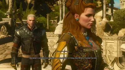 Witcher 3.   